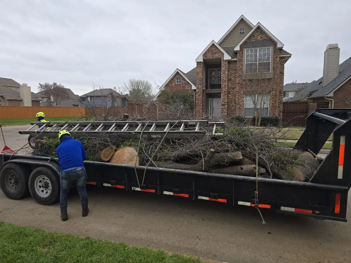 Expert Tree Pest Control with proper safety equipment in Vestaburg
